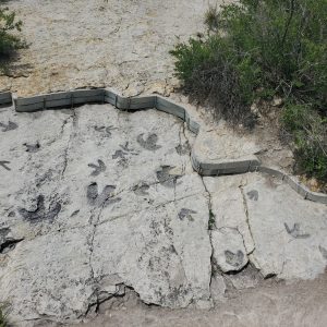 dinosaur-ridge